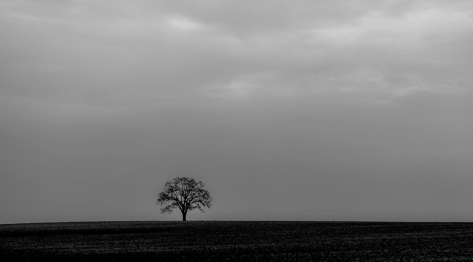 Why motivation is crucial for modern organizations 